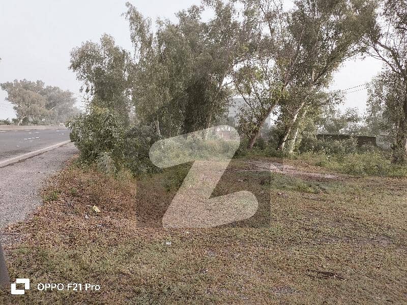 Main Muridke G. T Road , Agriculture Land Main Muridke G. T Road , Agriculture Land