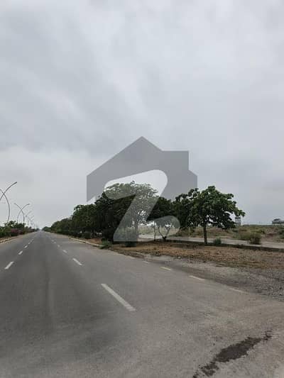 ریگی