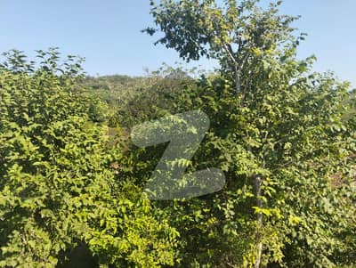 Agricultural Land Of 5 Kanal For sale In adjustment DHA Phase 6 - Sector C3