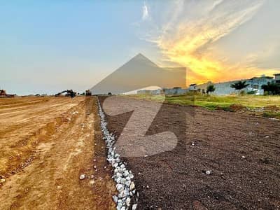 زمر