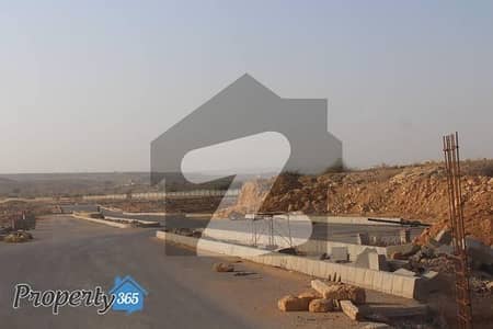 Sector
