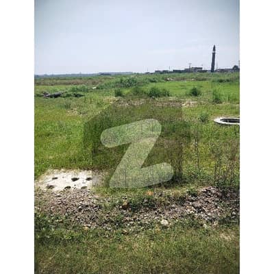 جی