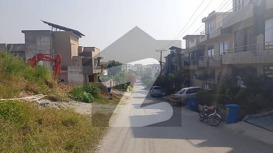 نیول