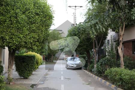 قائداعظم