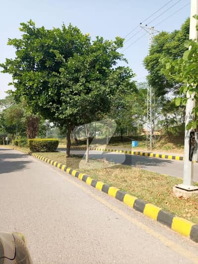 نیول