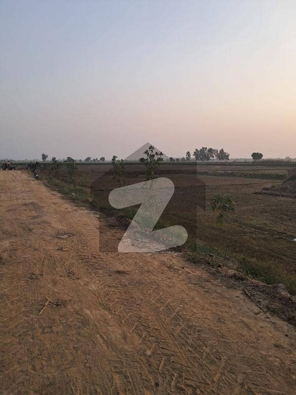 20 Marla Residential Plot is Available Moutra Stop Badina Road 20 Marla Residential Plot is Available Moutra Stop Badina Road