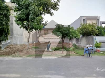 ویلینشیاء