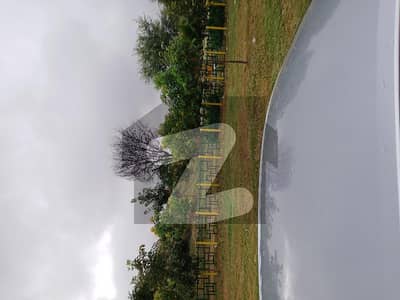 ڈی