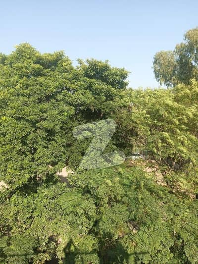 G 11, Park Face, 7 Marla House, Vip Location, New