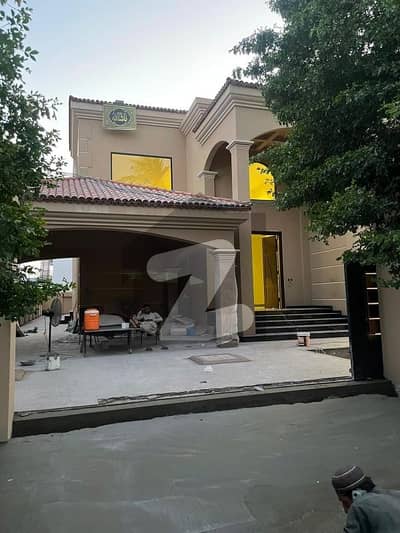 ڈی