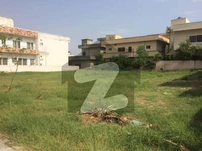 Plot For Sale