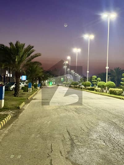 سٹی