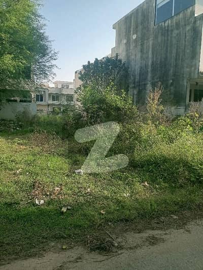 ڈی