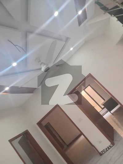 پائن