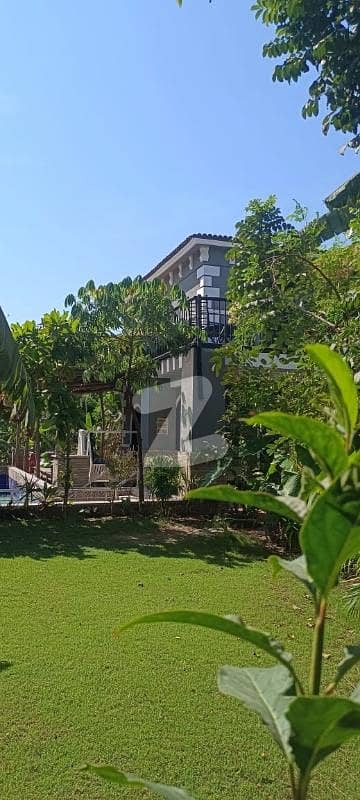 showroom for sale rental bank income