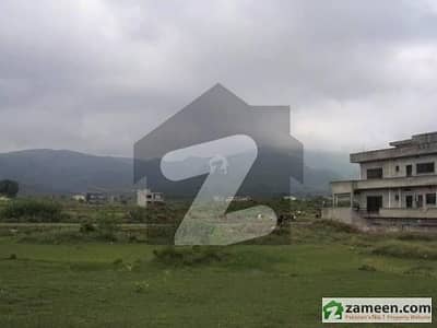 ڈی