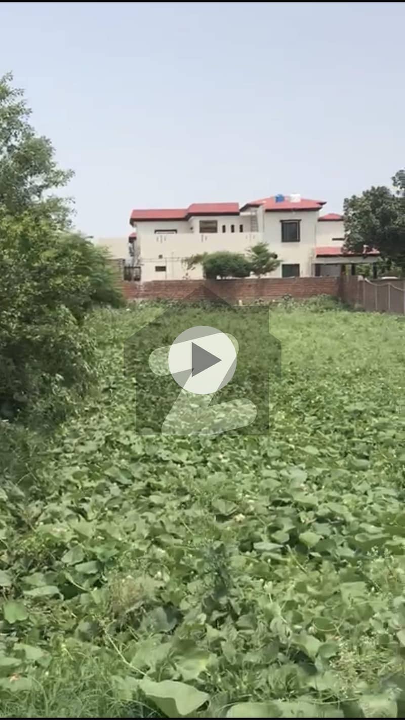 Farm house plot for sale