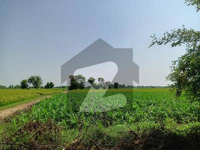 دیگر پاکپتن میں 164 کنال زرعی زمین 12.3 کروڑ میں برائے فروخت۔