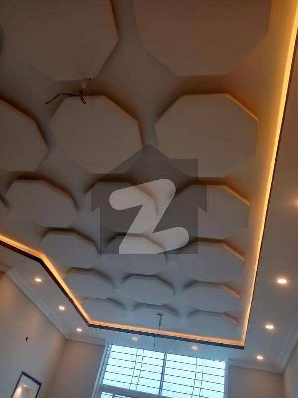 31 