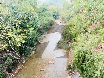 Corner Plot For Sale