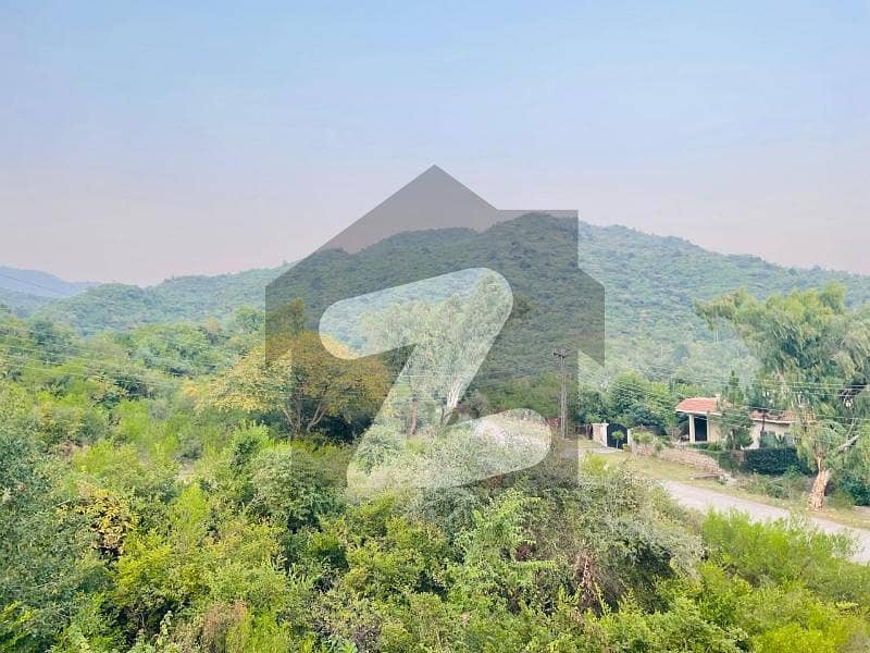 Main Road Plot For Sale