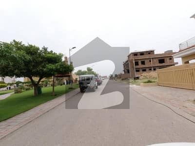 تاج