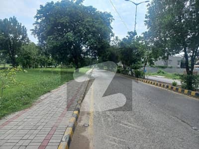 ڈی