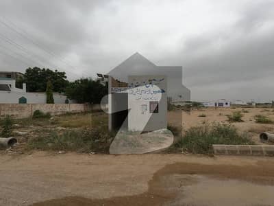Sachal