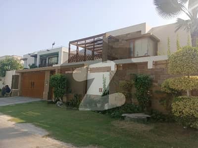 ڈی