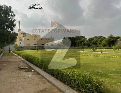 سیکٹر