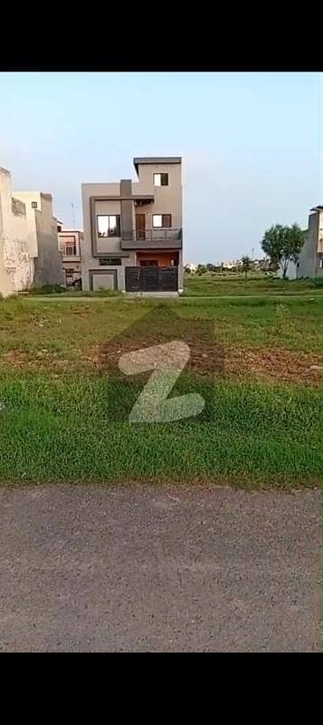 نیو