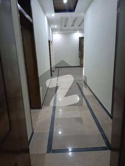 Traple House For Rent /F /11