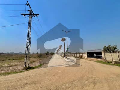 Heaven Kanal Farmhouse Alert!