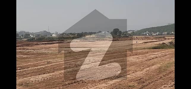 Sector