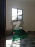 26 