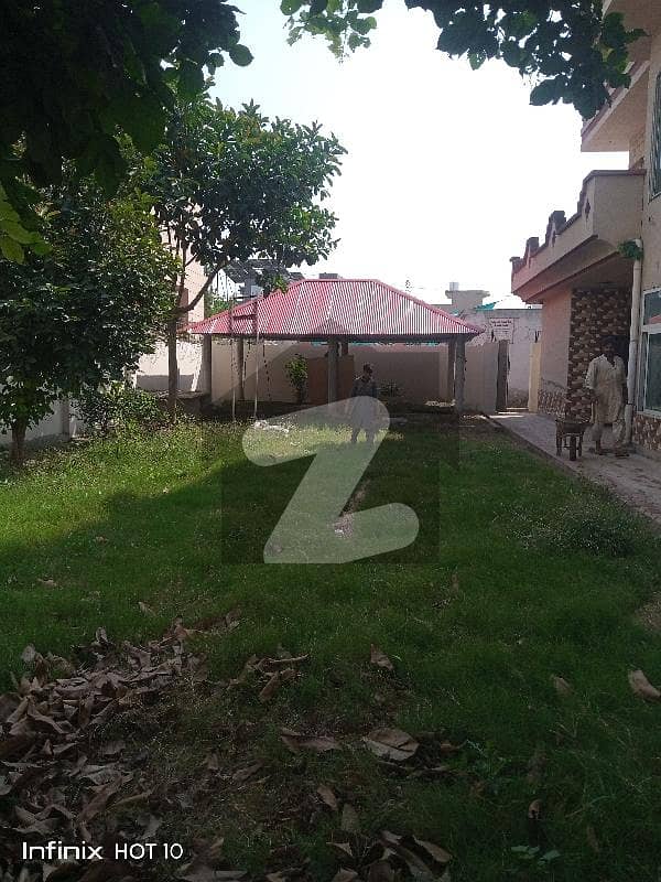 26 