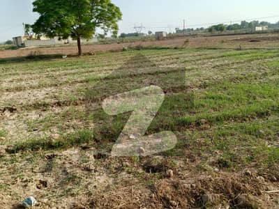 Chakri 10 Kanal Land For Sale Agriculture And Industrial Land Chakri 10 Kanal Land For Sale Agriculture And Industrial Land