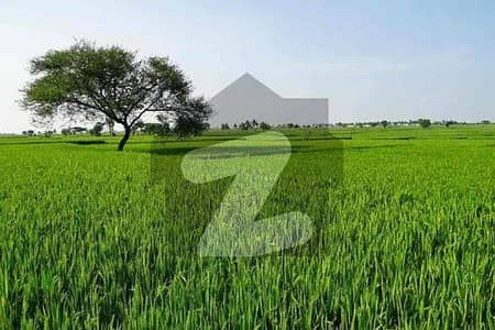 Agricultural Land Available For sale In Khara Pind, Khara Road, Kasur