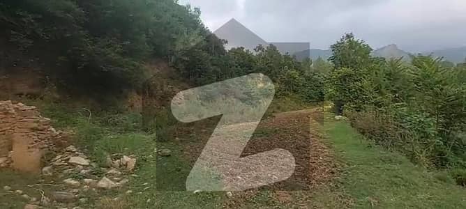 مانگل ایبٹ آباد میں 35 کنال زرعی زمین 6.3 کروڑ میں برائے فروخت۔
