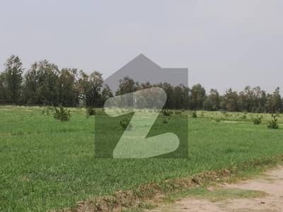 جوہر آباد روڈ خوشاب میں 176 کنال زرعی زمین 4.5 کروڑ میں برائے فروخت۔