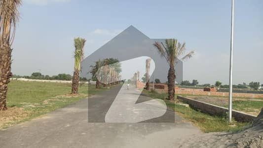 برکی