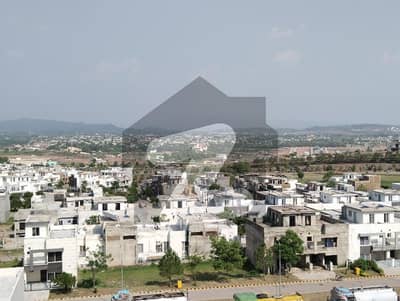 پارک