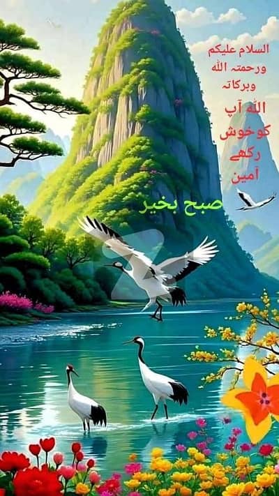گلبرگ