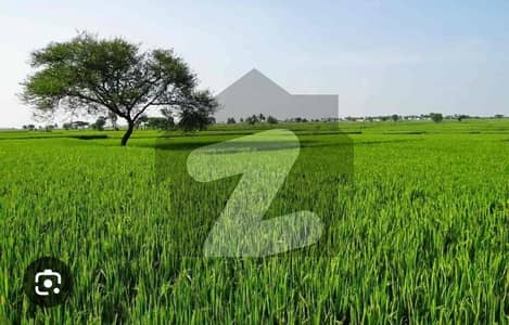 ڈی ایچ اے فیز 10 ڈیفنس (ڈی ایچ اے),لاہور میں 32 کنال زرعی زمین 16.0 کروڑ میں برائے فروخت۔