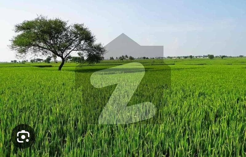 سرایچ لاہور میں 56 کنال زرعی زمین 9.5 کروڑ میں برائے فروخت۔ سرایچ لاہور میں 56 کنال زرعی زمین 9.5 کروڑ میں برائے فروخت۔