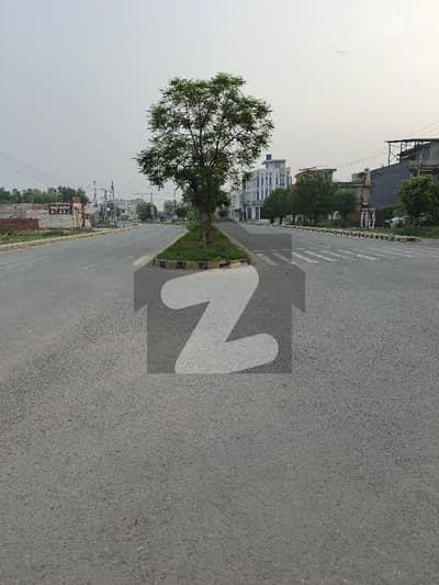 ہائی
