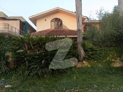 ڈی