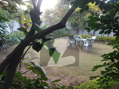 1.25 kanal ground portion for rent
