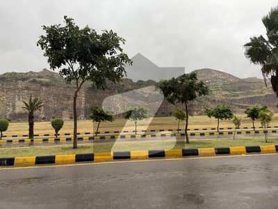 فیصل