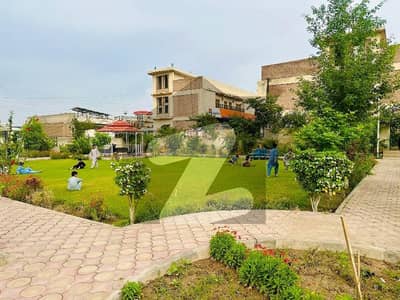 ریگی